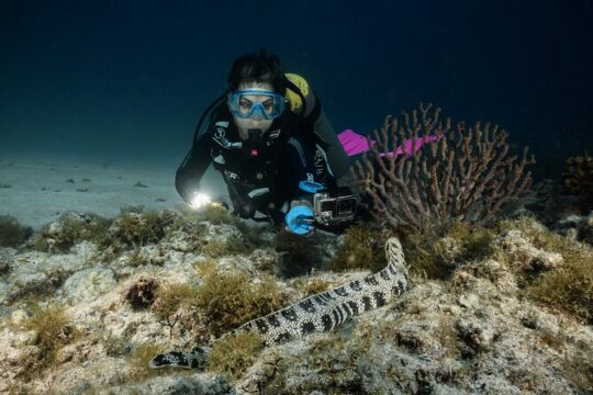 Full Day Private Scuba Diving in Espiritu Santo Island