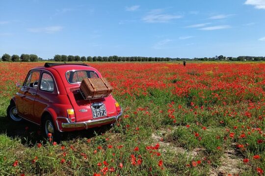 Vintage Fiat 500 rental to discover Taranto.