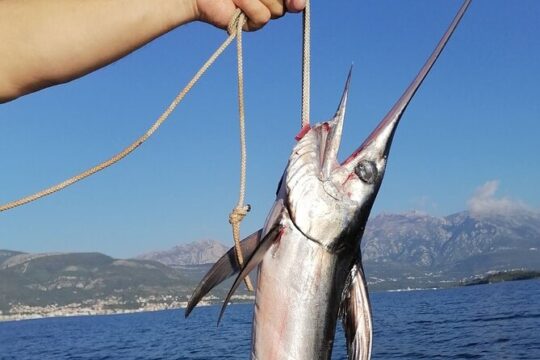 Private Montenegro fishing tour
