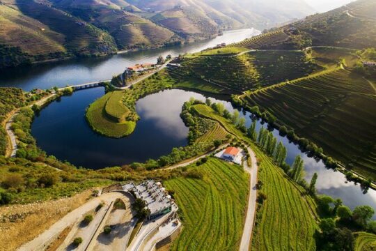 Lisbon to Douro with stop at Fatima Tomar and Coimbra