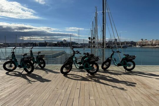 Guided Bike Tour in Province of Valencia
