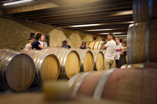 Visit of the cellars of Château Gigognan with tasting