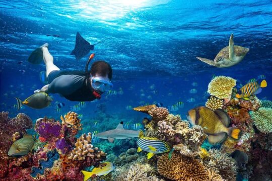 Discovering the Depths: Scuba Diving Tour from Antalya