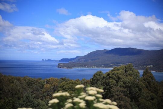 Tasman Peninsula Full-Day Escapes from Hobart