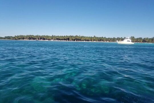 Saona Island Day Trip with Lobsters Included in Bayahibe