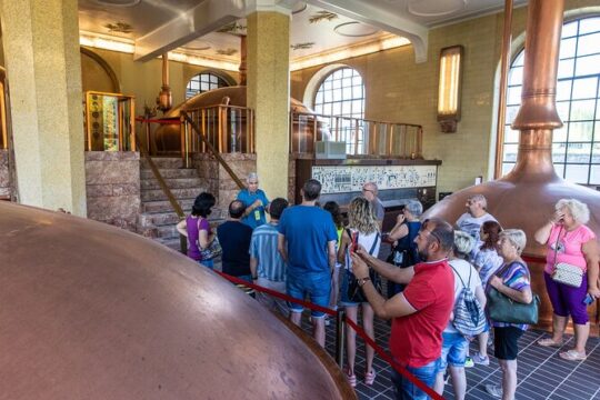 Guided tour of the Fabbrica brewery in Pedavena