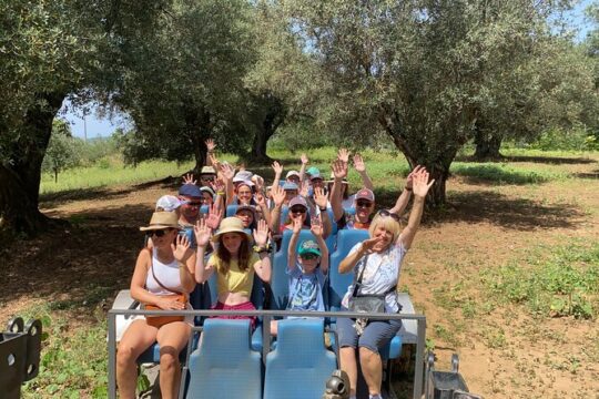 Private Half Day Oil Tour in Limbadi