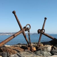 Half-day Tours