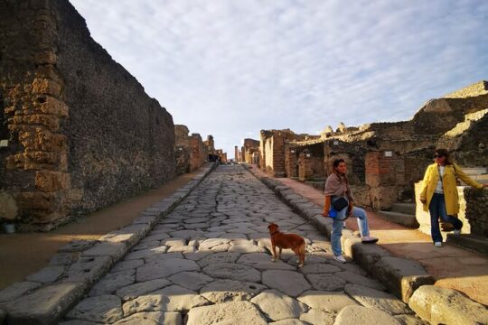 Private Day Tour to Pompeii and Vesuvio Wineries from Rome