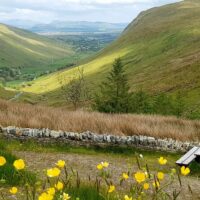 Self-guided Tours & Rentals