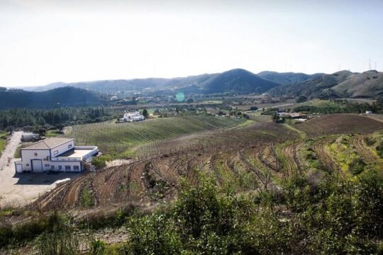 Premium Gastronomic Mountain Tour in The Algarve