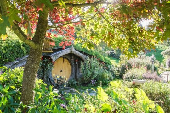 Tauranga - Magical Hobbiton Movie Set - Private Shore Excursion.