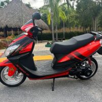 Bike Rentals