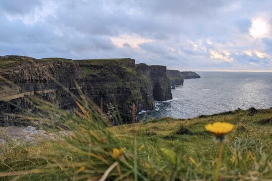 Cliffs of Moher Private Day Tour, Luxury Mercedes Benz S-Class