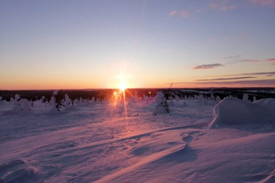 3 Days Tour in Lapland