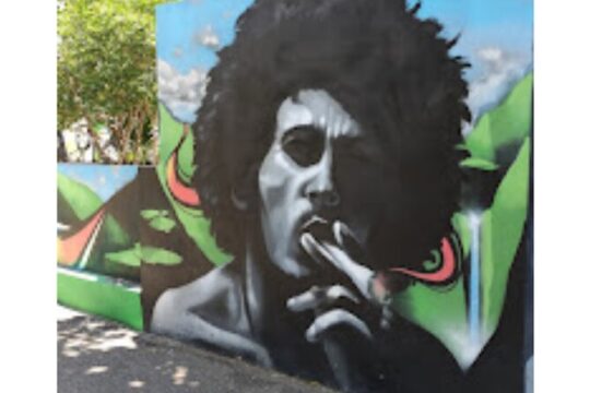 Bob Marley Museum and Devon House Kingston Culture Tour