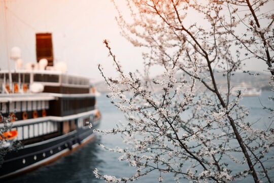 Private Transfer: Vienna to River Cruise Dock Nuremberg - Port/Harbor transport