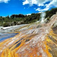 Tours & Sightseeing