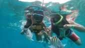 Go here when in Cozumel!! I’m not kidding !!