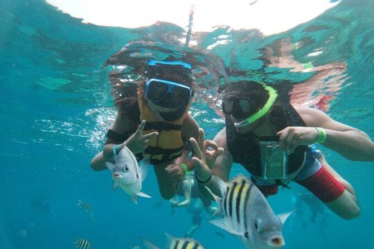 Chankanaab Beach Adventure Park Day pass with Snorkeling