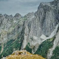 Tours & Sightseeing