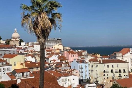 Private Tour 9 DayS in Portugal including Lisbon, Fátima, Sintra, Porto, Évora..