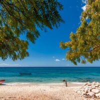Multi-day Tours