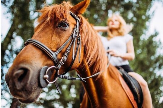 Tulum Extreme Adventure: ATV, Horses, Ziplines, Cenote & Lunch