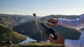 Great wine tour