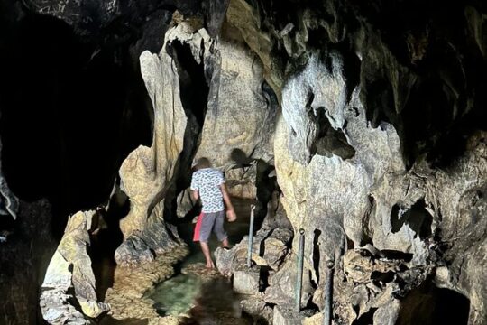Day Tour at Roaring River and Cave, Blue Hole, Mineral Springs