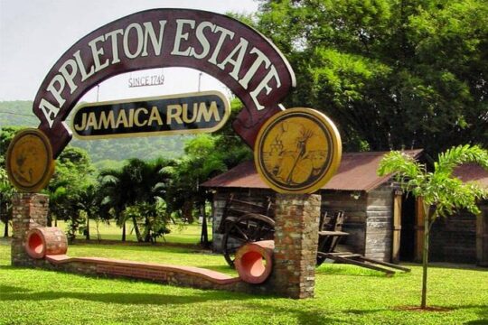 Private Appleton Estate Rum Tour & Tasting from Ocho Rios