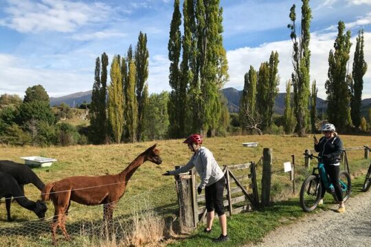 Guided eBike Wine Tour Ride to the Vines