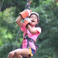 Ziplines