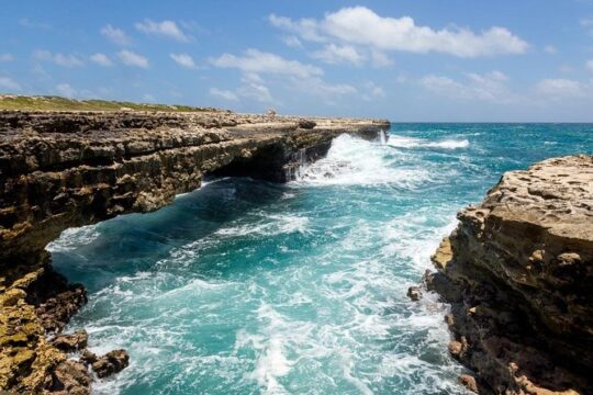 Island Safari 4x4 Discovery Tour from St John's