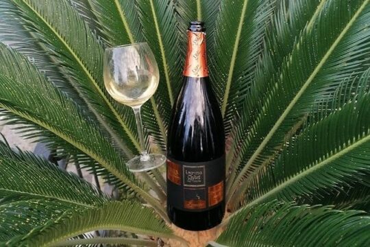 Pompeii and winery tour from Sorrento