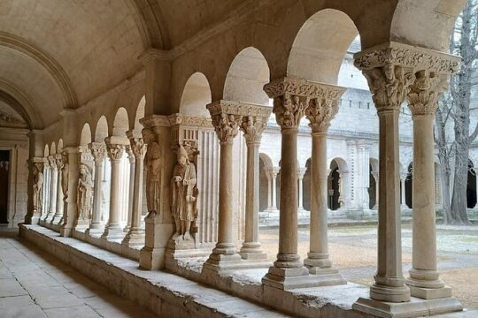 Private Tour in Roman town of Arles, Camargue National Park
