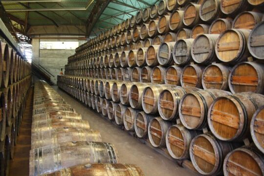 Private Special Tour Around Lisbon and Wine Tasting