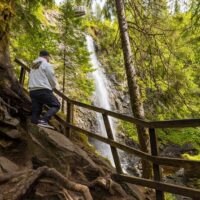Volunteer Tours