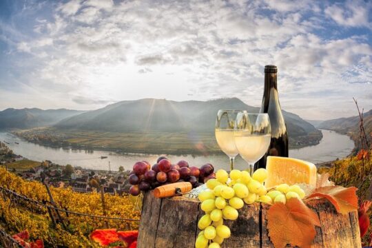 Vienna: Danube Valley Tour with Melk, Dürnstein with wine tasting and boat.