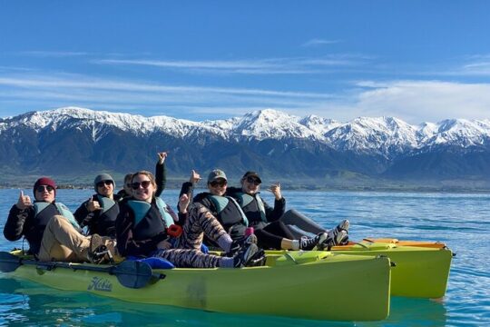 Private Seal Kayaking and Wildlife Tour in Kaikoura
