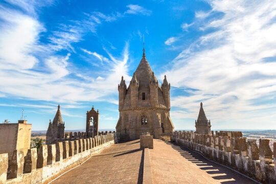 Évora and Alentejo & Wine Taste Private Full Day Tour from Lisbon