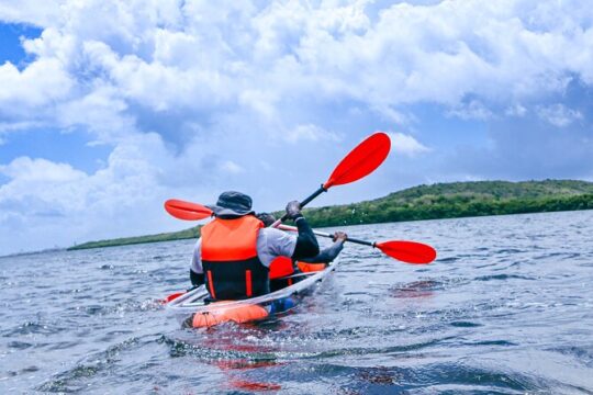 Clear Kayak Tour in Mangrove Antigua