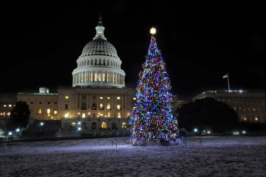 Washington DC Holiday Lights Tour