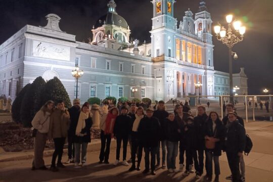 2-hour Guided Walking Tour Exploring Madrid