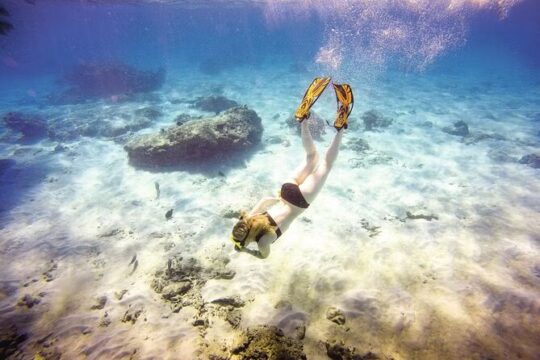 Full-Day Catamaran Snorkeling Tour with Lunch from Puerto Plata