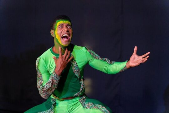 Island Adventurers Kid's Show Tickets
