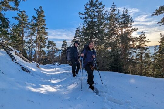 2 Day Hiking: Snow Shoes Trail