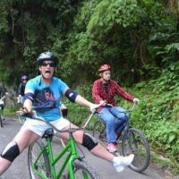 Tours & Sightseeing