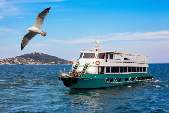 Istanbul Bosphorus Guided Sightseeing Cruise