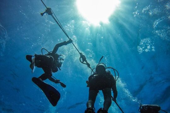 Full-Day Catalina Island Scuba Diving Tour from Punta Cana